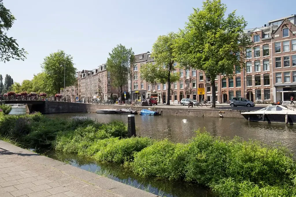 geblurde versie van de foto als achtergrond