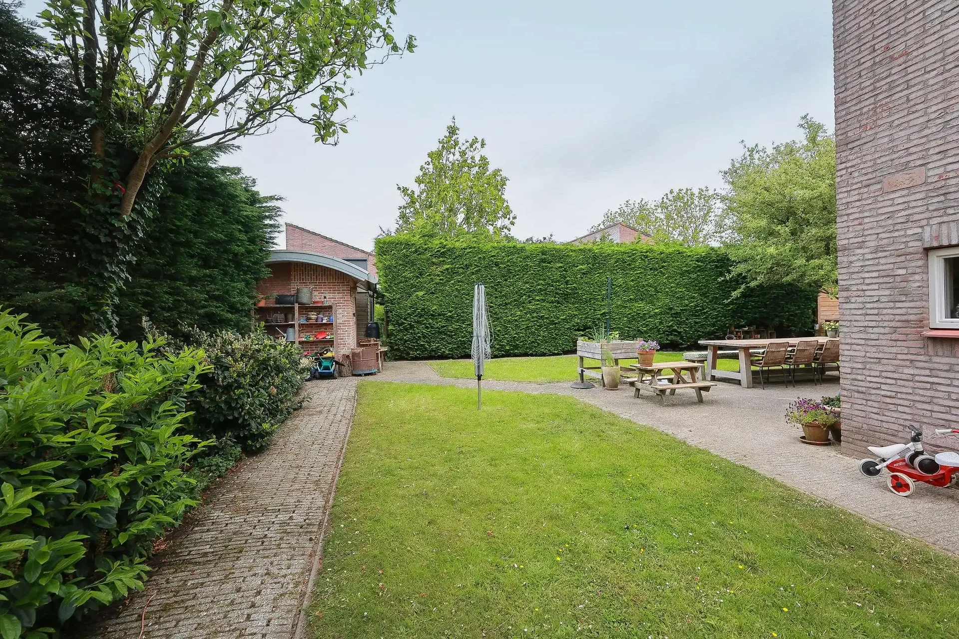 geblurde versie van de foto als achtergrond