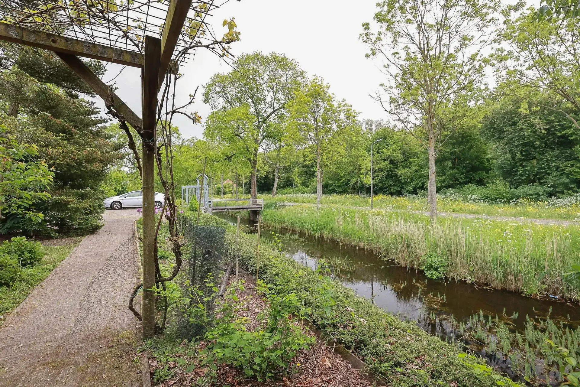geblurde versie van de foto als achtergrond