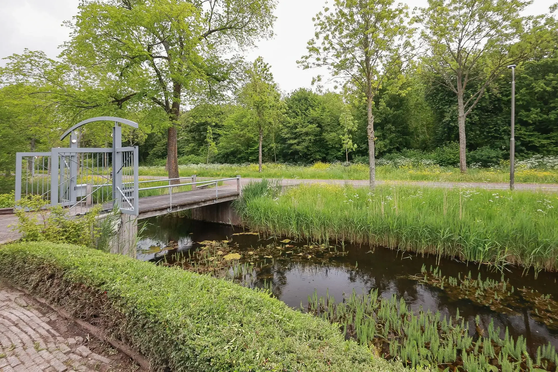 geblurde versie van de foto als achtergrond