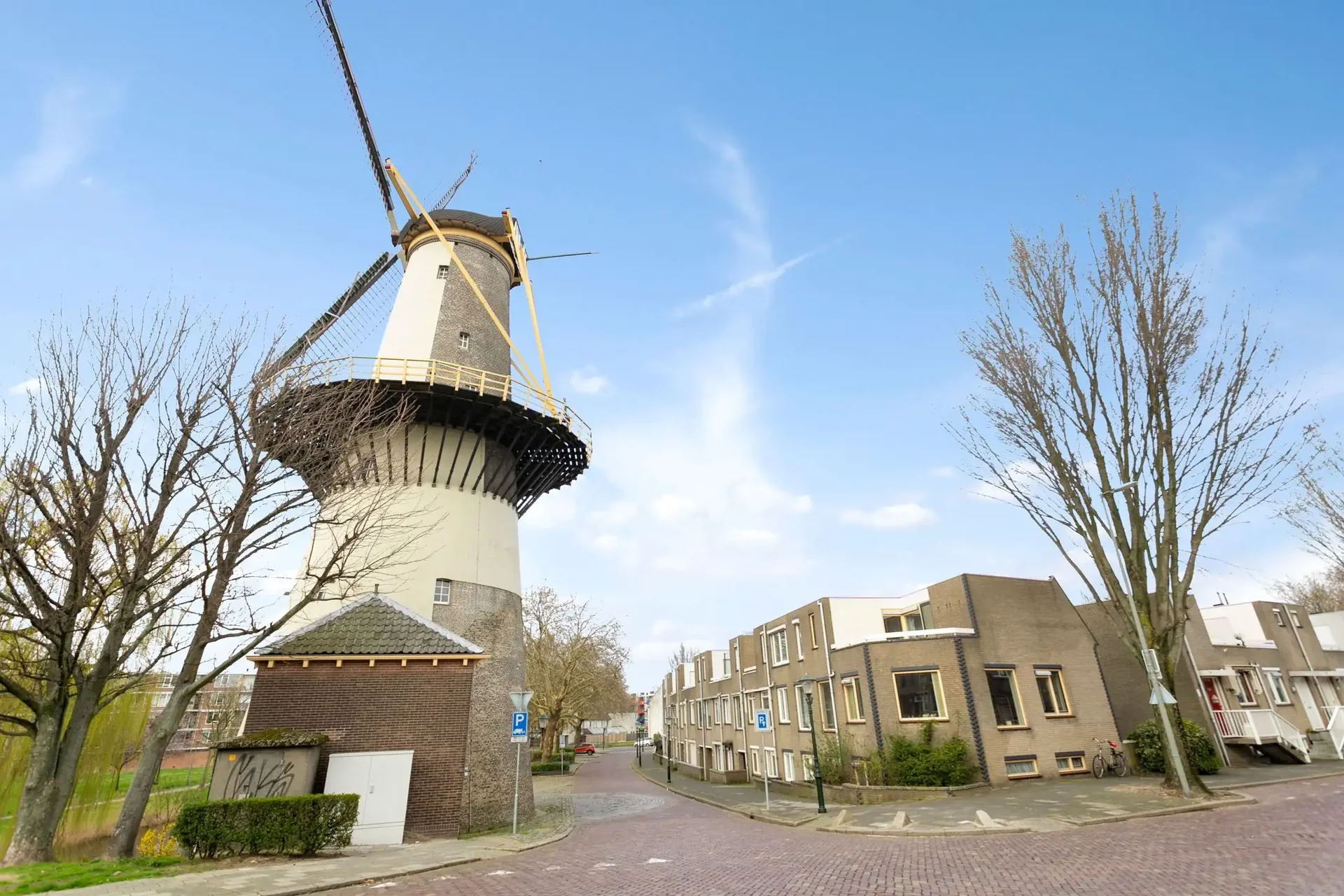 geblurde versie van de foto als achtergrond