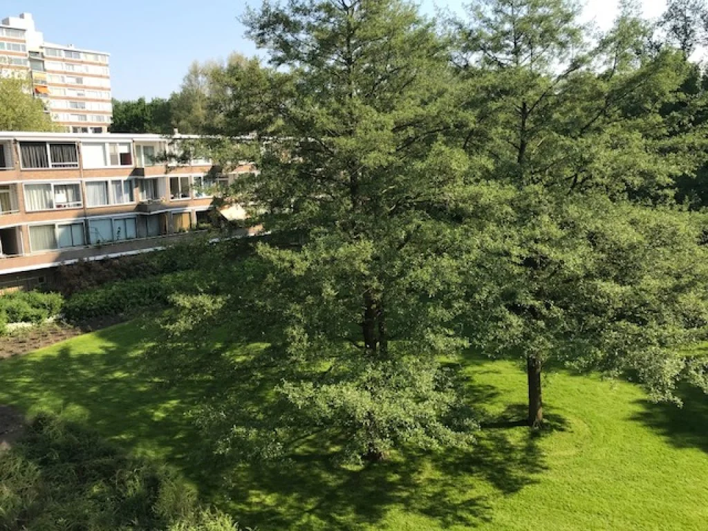 Foto van de Appartement gelegen aan de Meander in Amstelveen