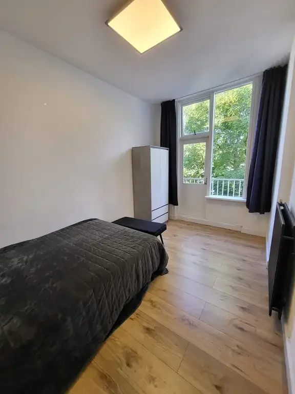 geblurde versie van de foto als achtergrond