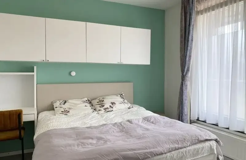 geblurde versie van de foto als achtergrond