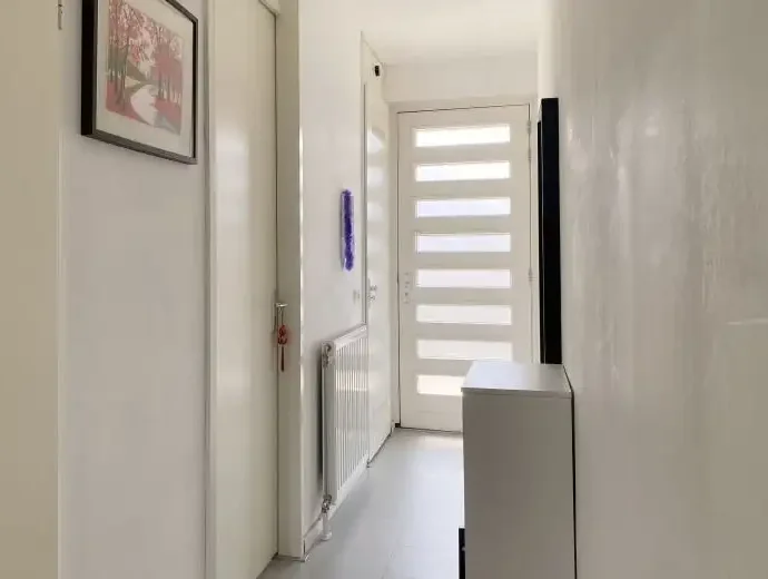 geblurde versie van de foto als achtergrond