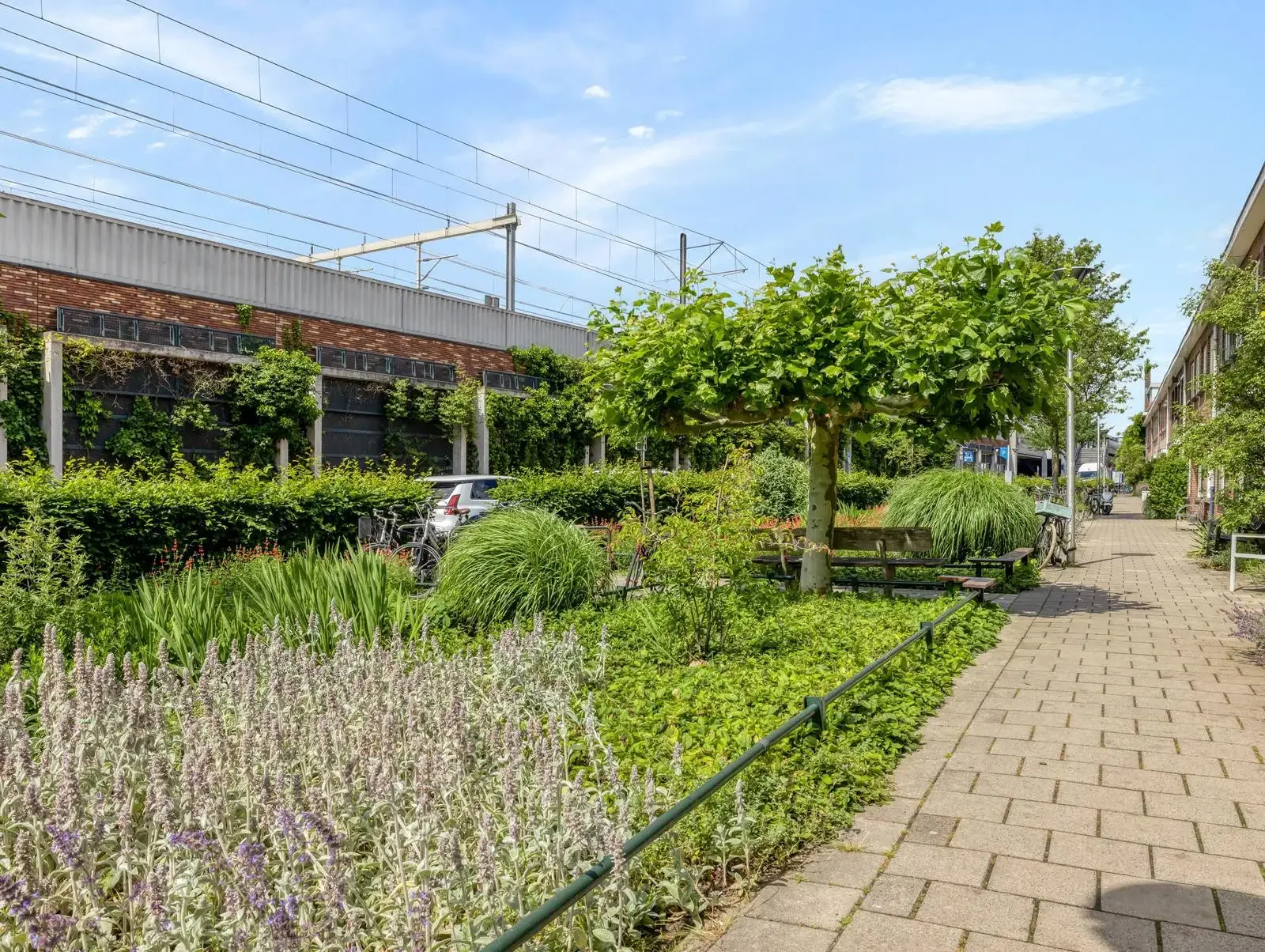 geblurde versie van de foto als achtergrond