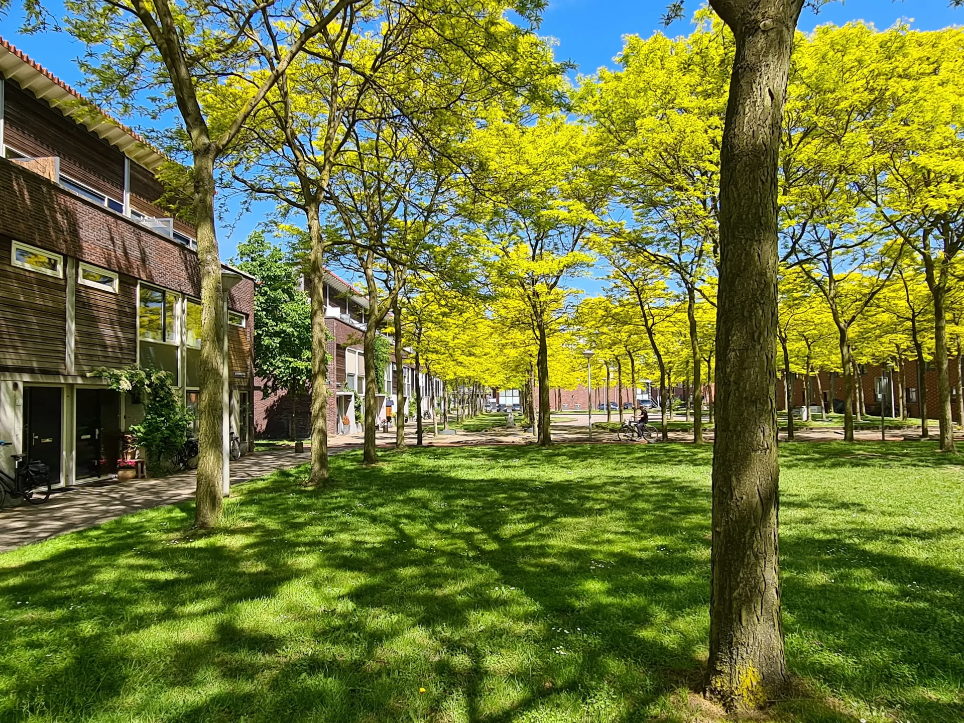 Foto van de Appartement gelegen aan de Liedekerkeplantsoen in Amsterdam