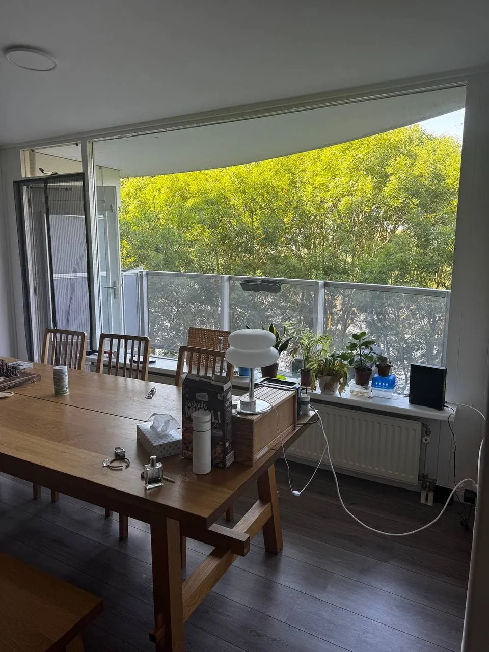 geblurde versie van de foto als achtergrond