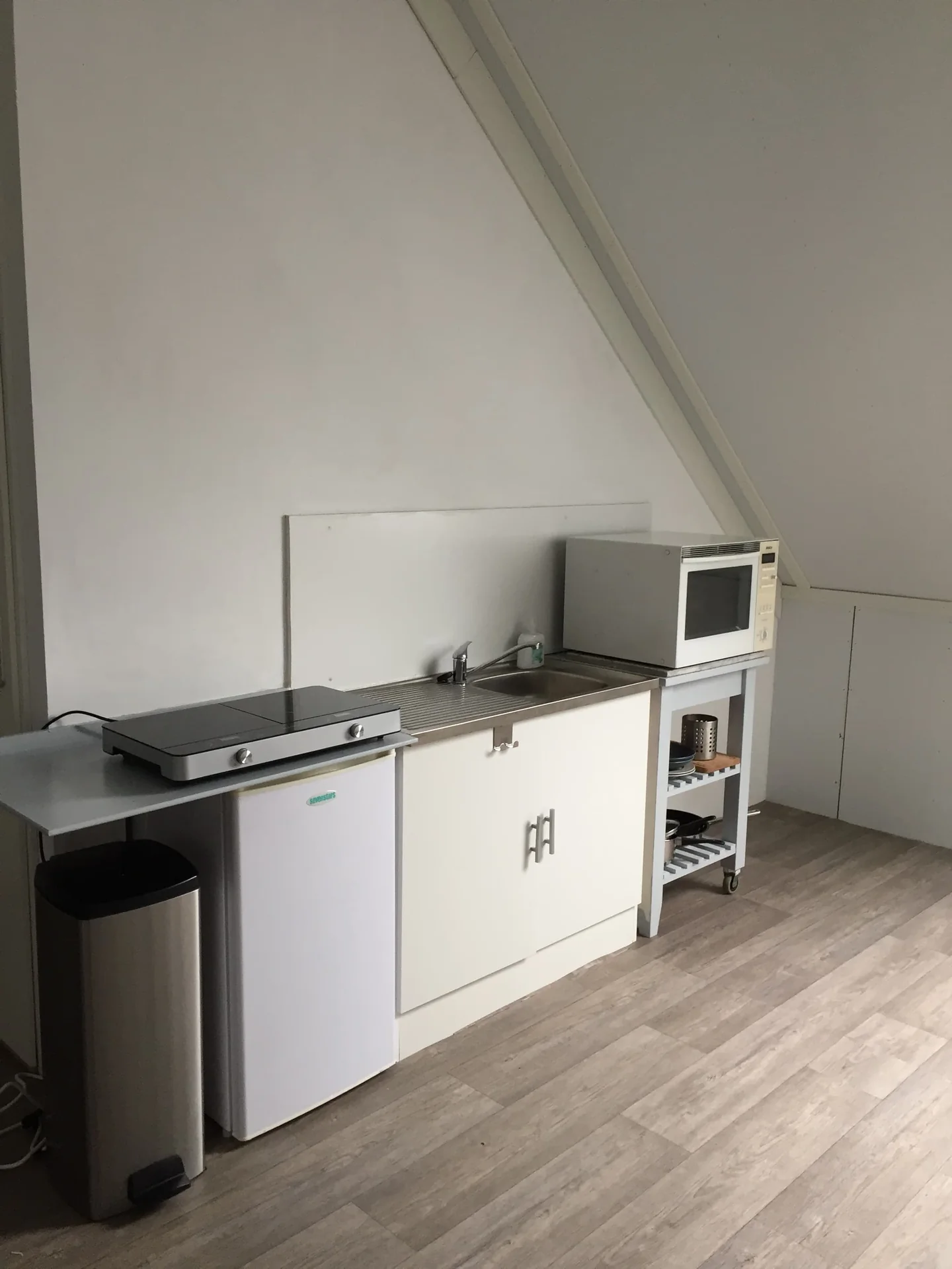 Foto van de Kamer gelegen aan de Leonard Springerlaan in Haarlem