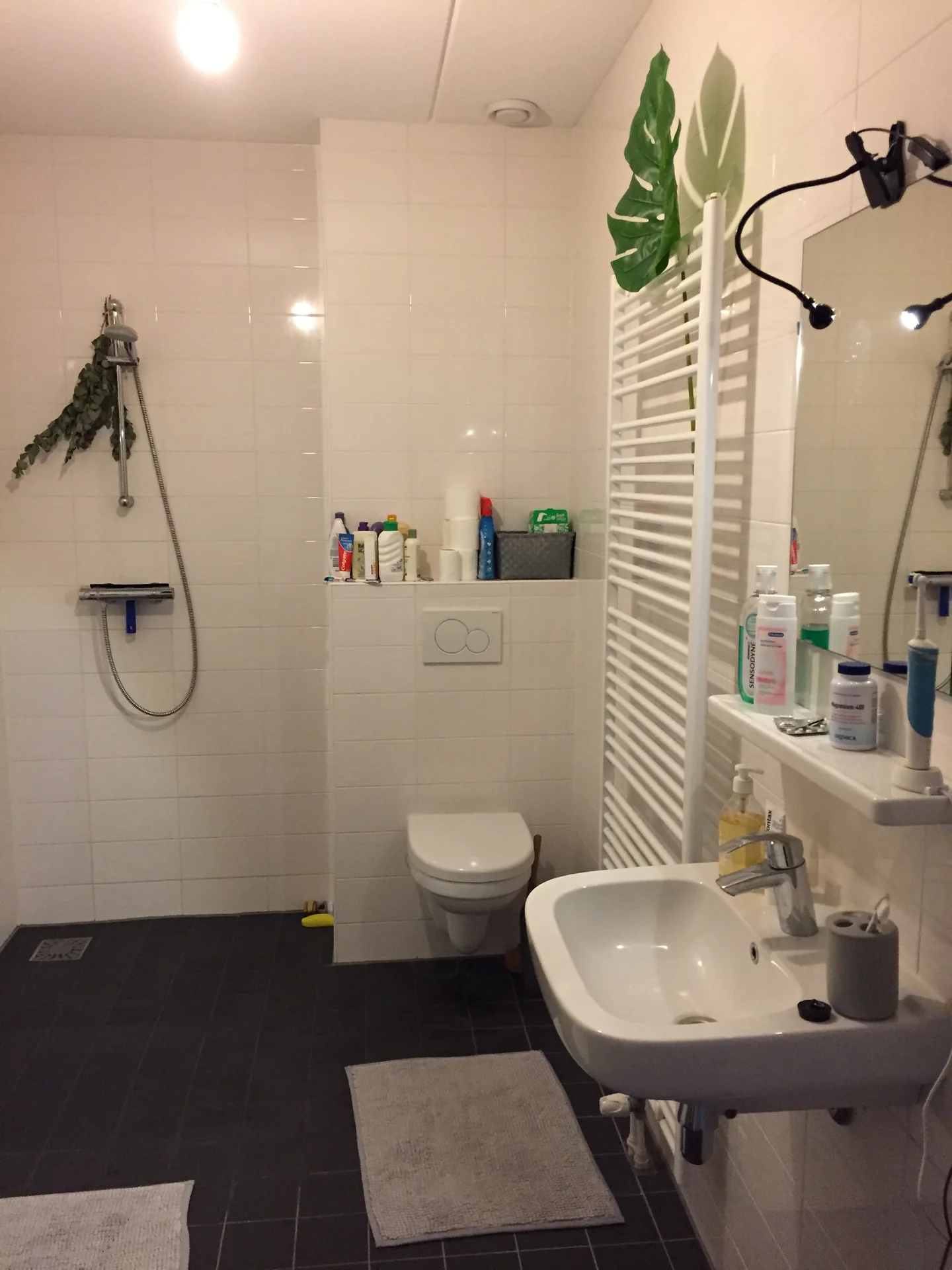 Foto van de Kamer gelegen aan de Leonard Springerlaan in Haarlem
