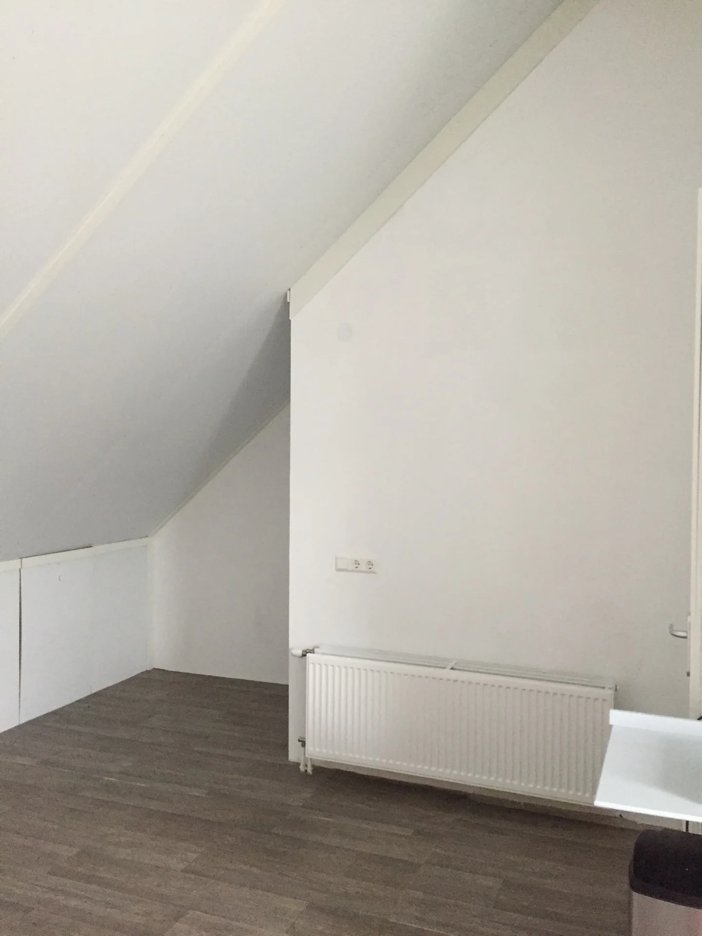 Foto van de Kamer gelegen aan de Leonard Springerlaan in Haarlem