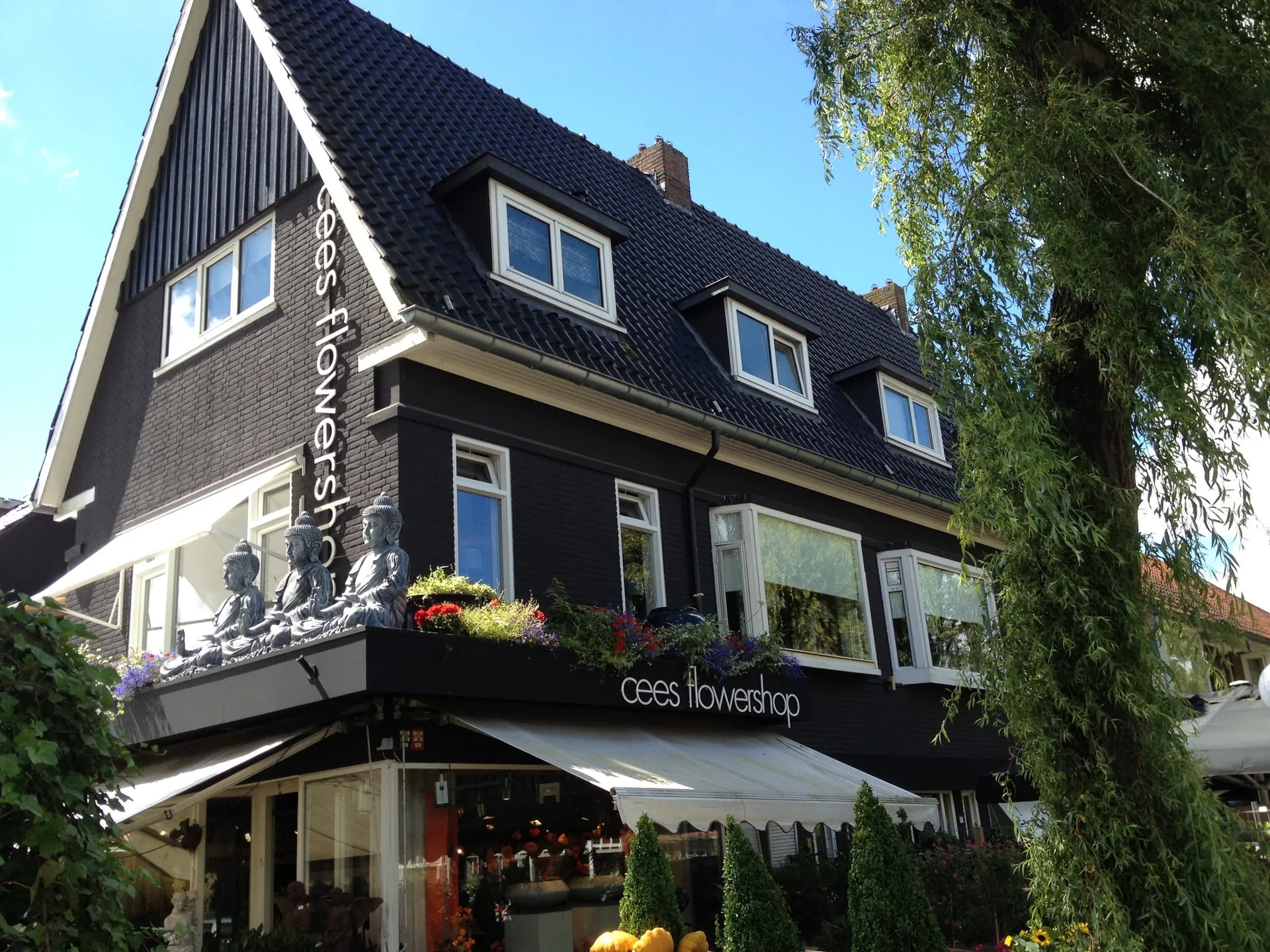 Foto van de Kamer gelegen aan de Goudenregenstraat in Leeuwarden