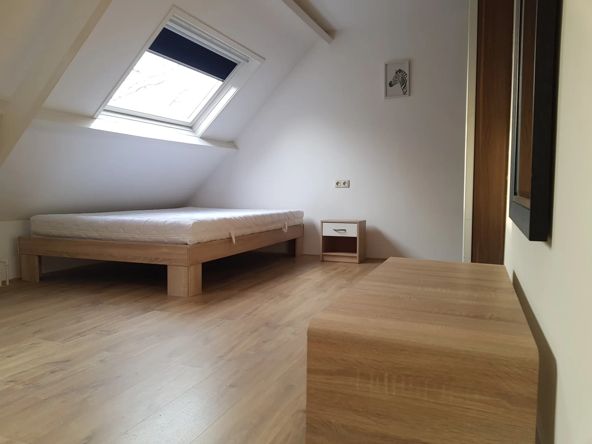 Foto van de Kamer gelegen aan de Dobbelmannweg in Nijmegen