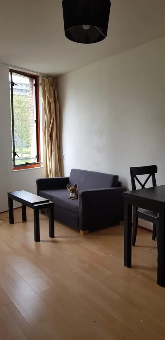 Foto van de Studio gelegen aan de Lontarpalmstraat in Amsterdam