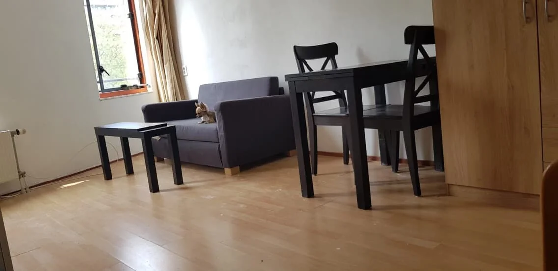 Foto van de Studio gelegen aan de Lontarpalmstraat in Amsterdam