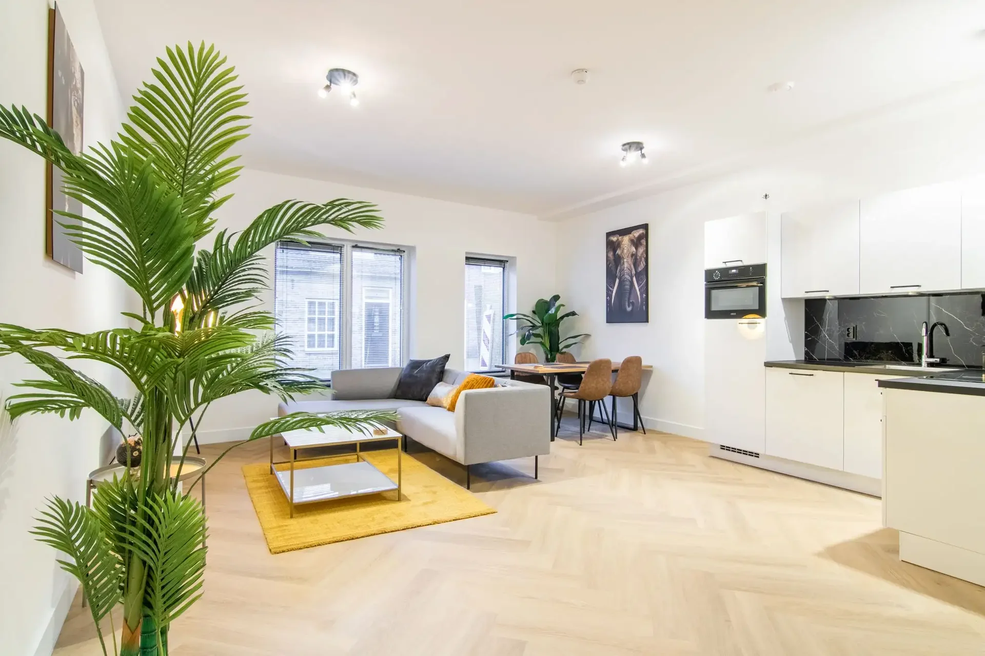 Foto van de Appartement gelegen aan de Hoefstraat in Tilburg