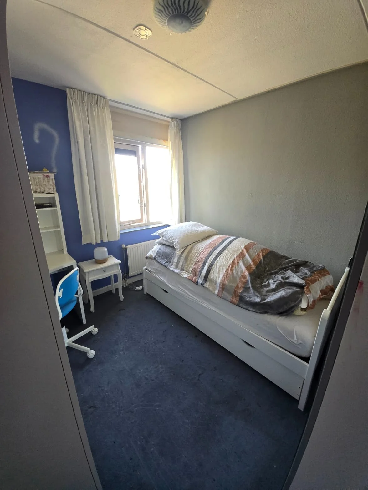 geblurde versie van de foto als achtergrond