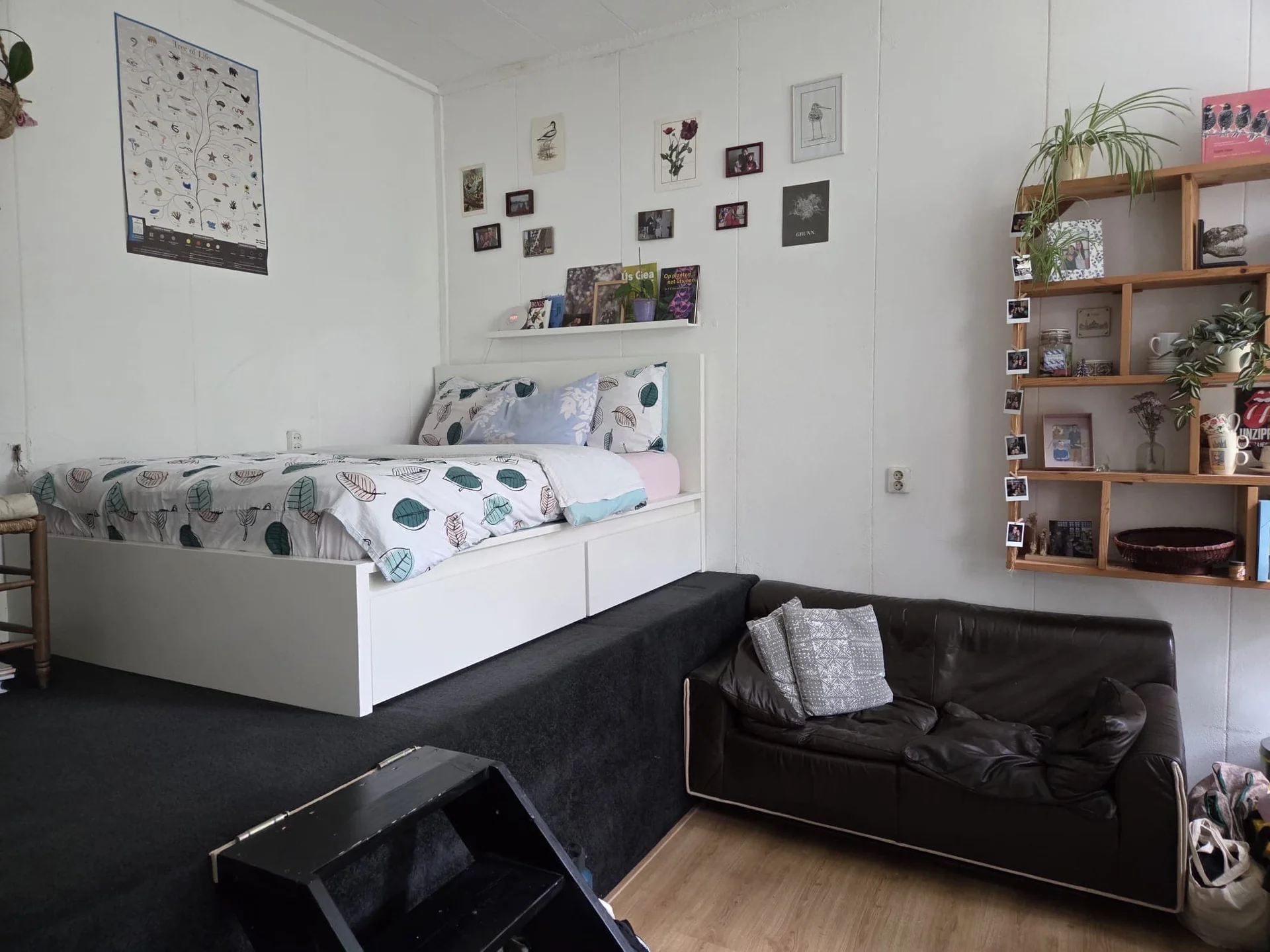 Foto van de Kamer gelegen aan de Parallelweg in Groningen