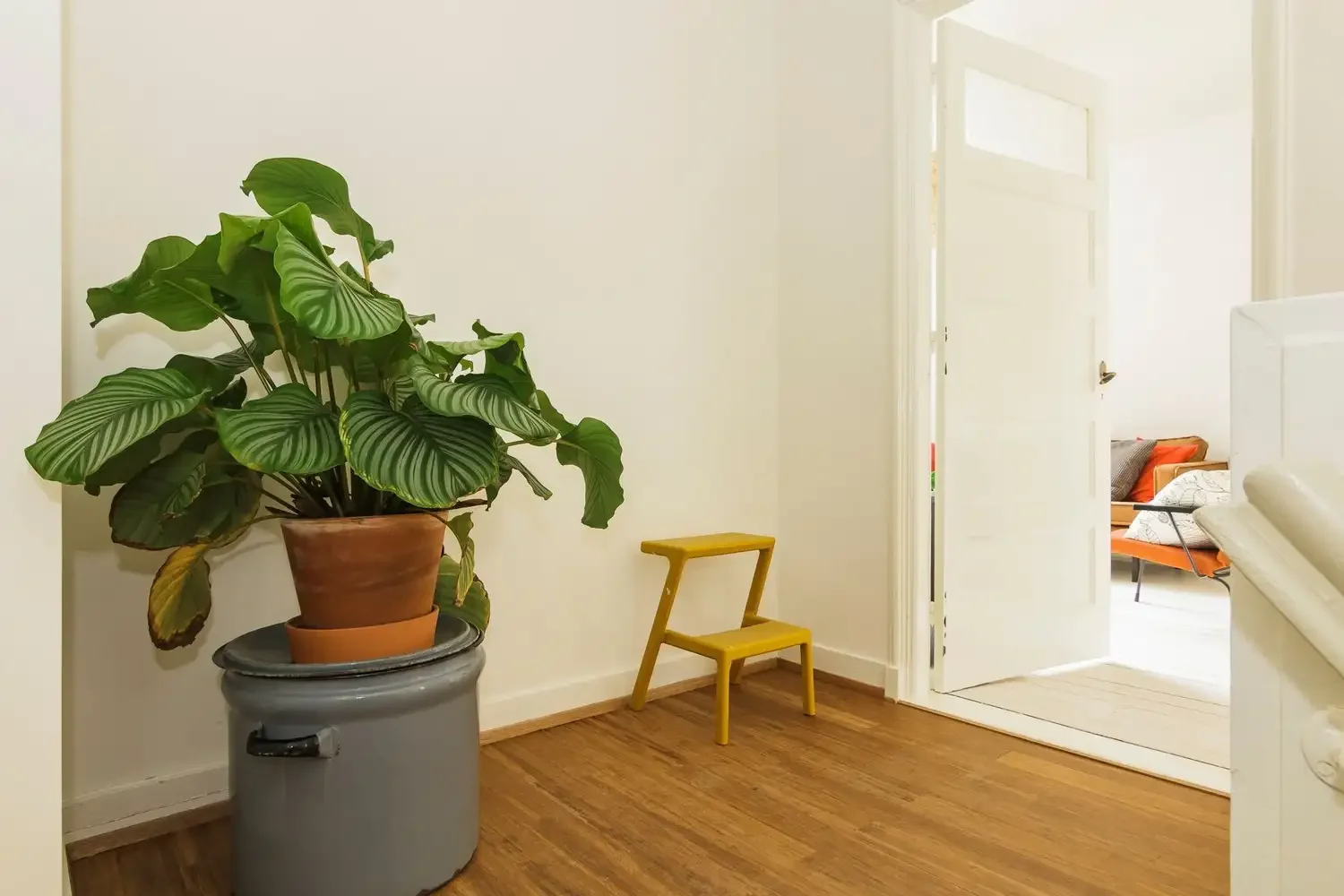 Foto van de Appartement gelegen aan de Hofstraat in Groningen