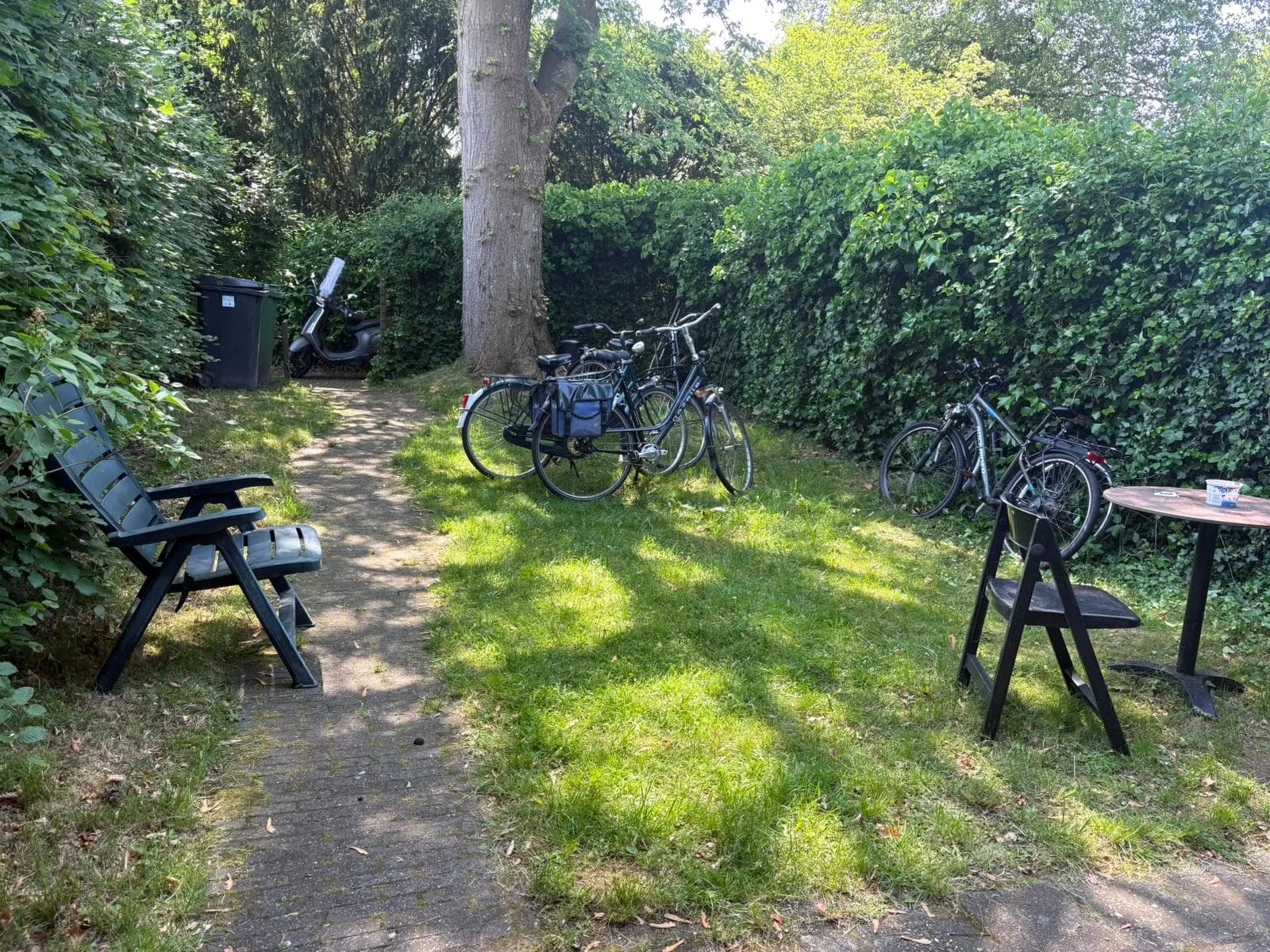 geblurde versie van de foto als achtergrond