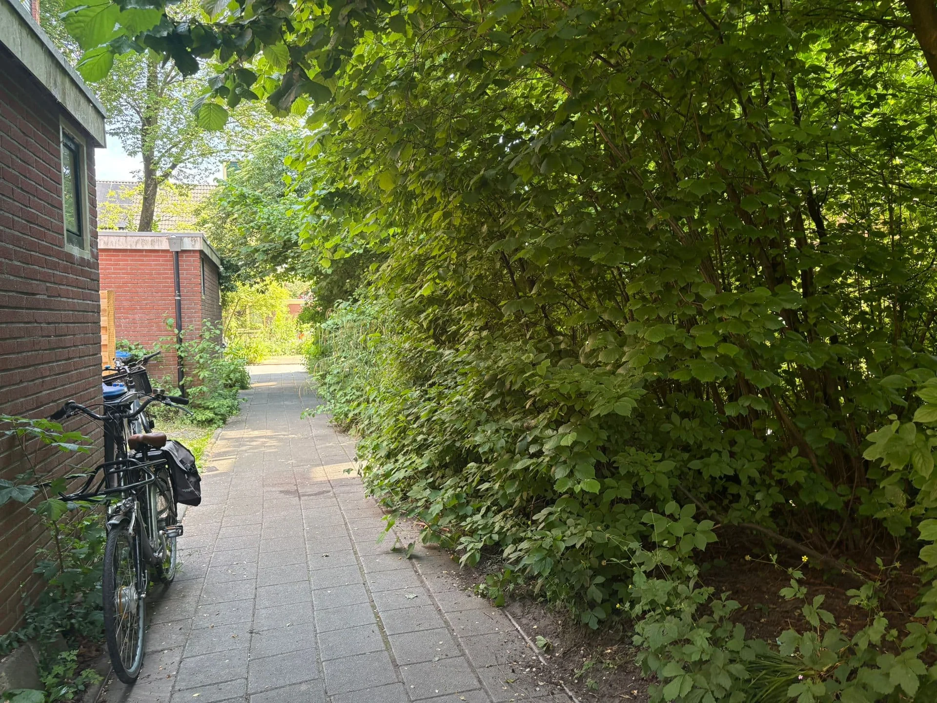 Foto van de Kamer gelegen aan de Marsstraat in Groningen