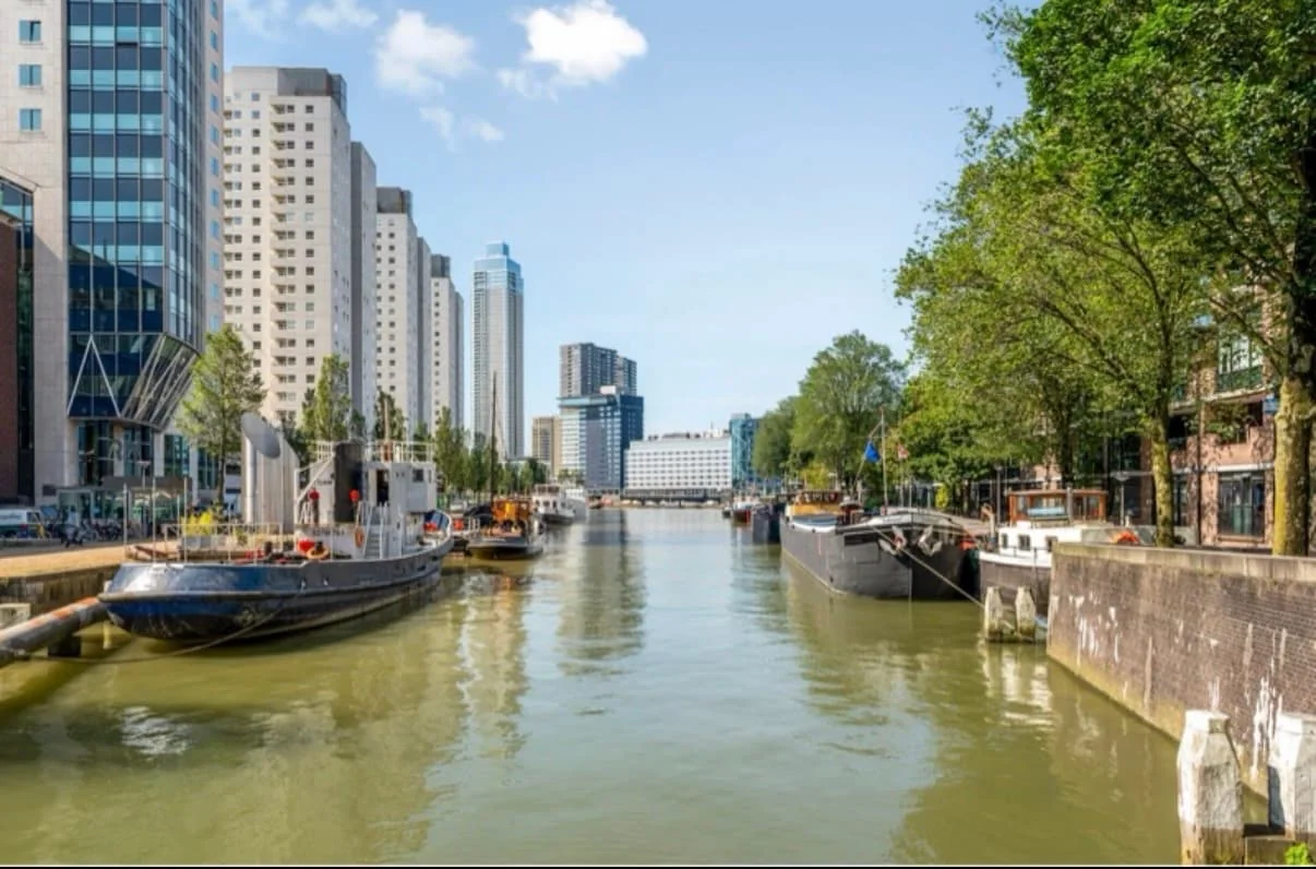 geblurde versie van de foto als achtergrond