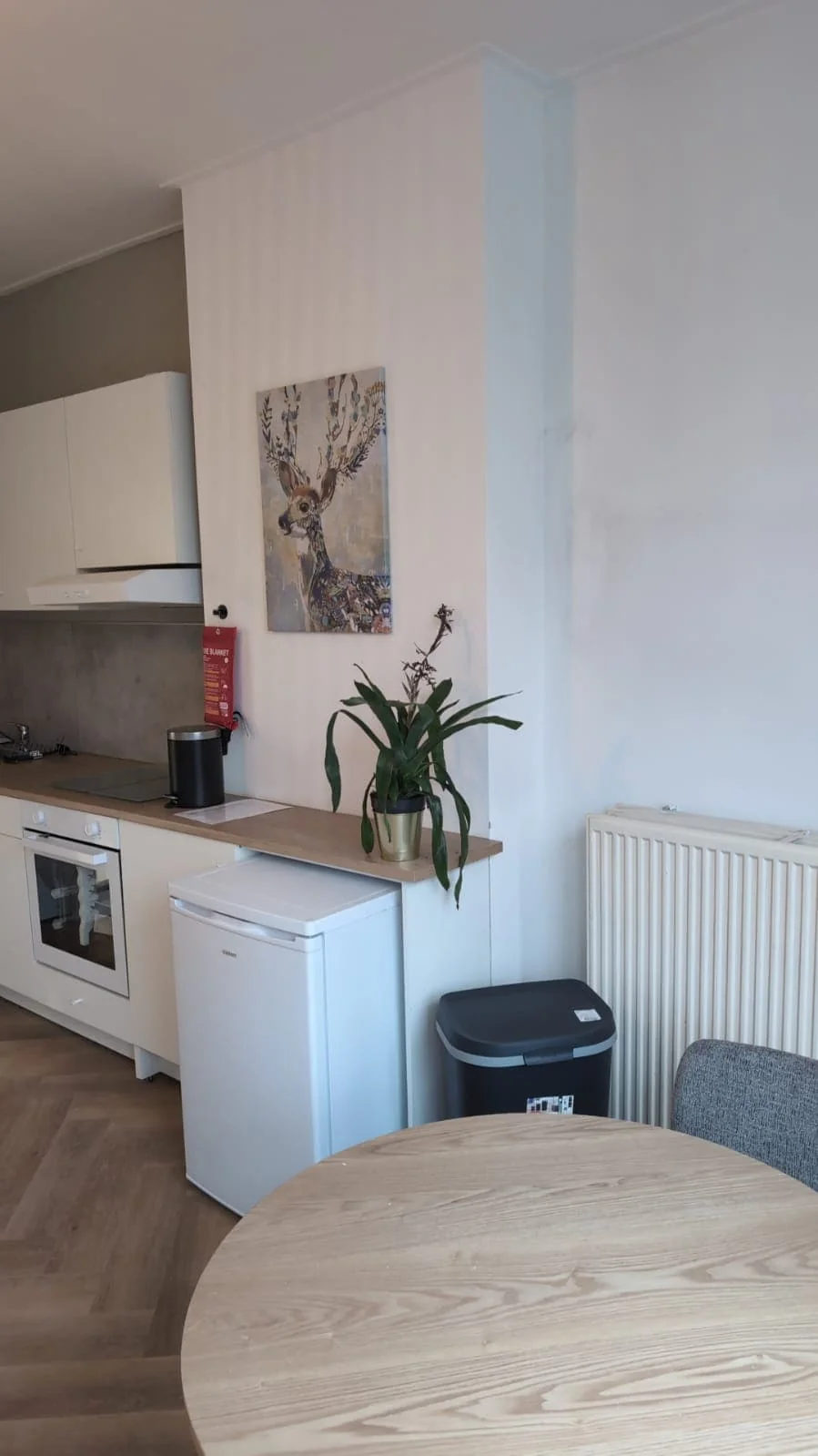 geblurde versie van de foto als achtergrond