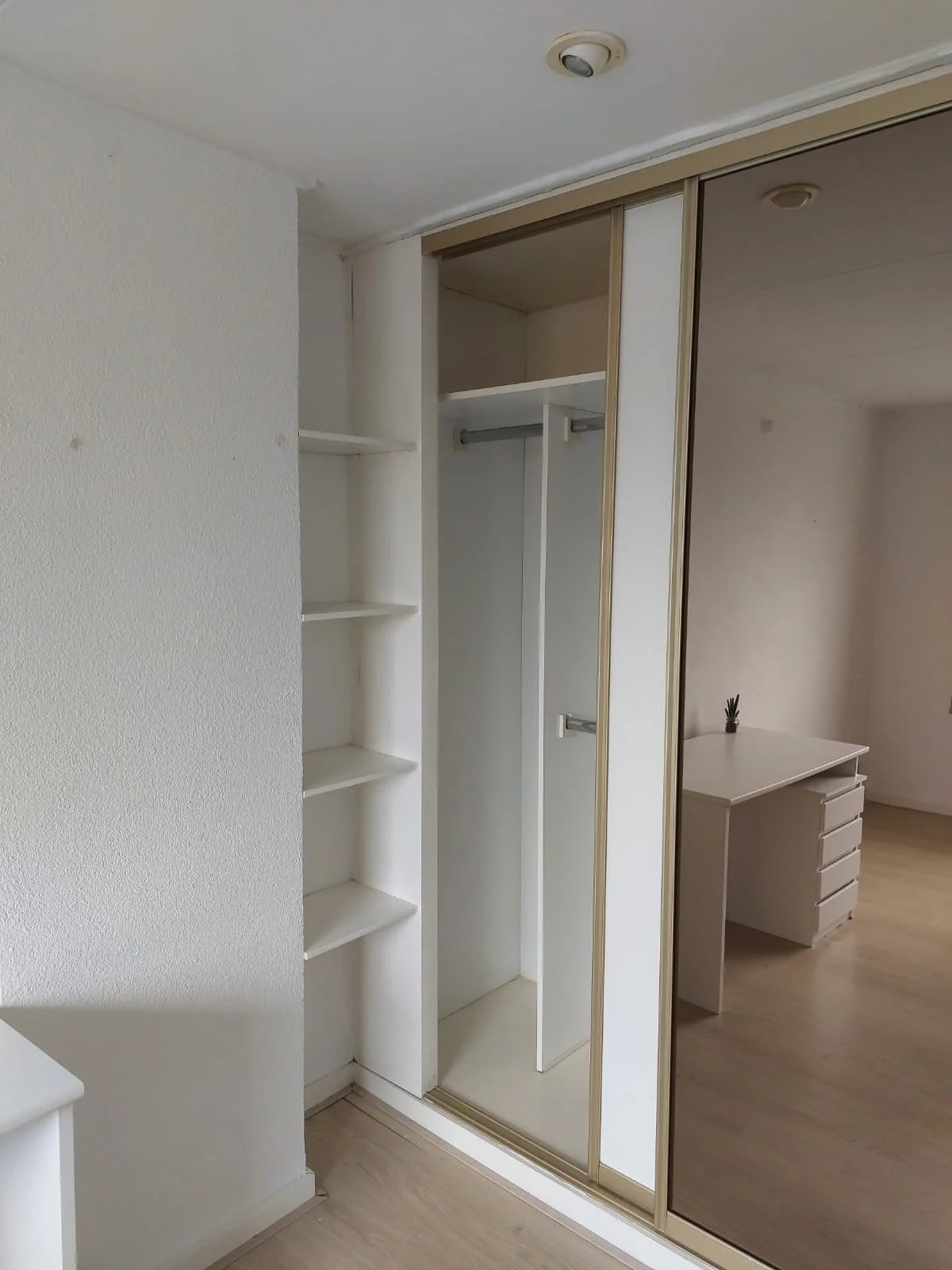 geblurde versie van de foto als achtergrond