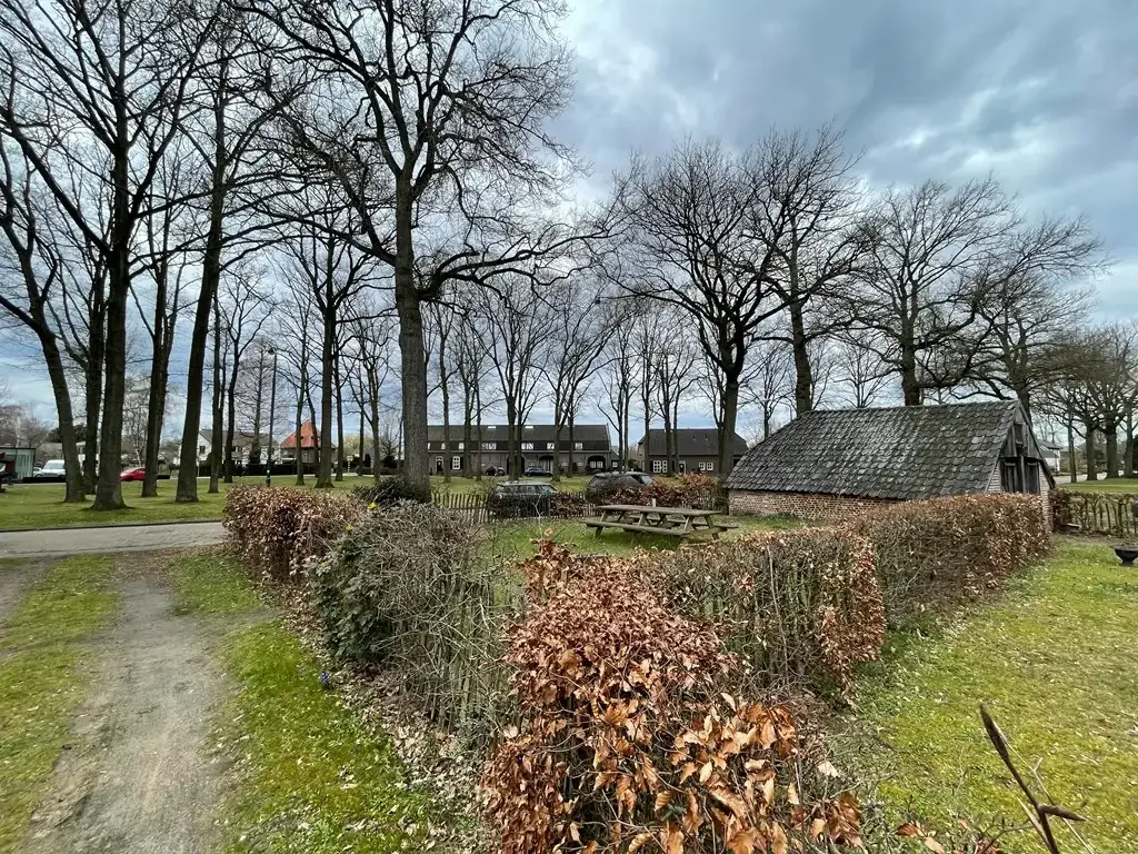 geblurde versie van de foto als achtergrond