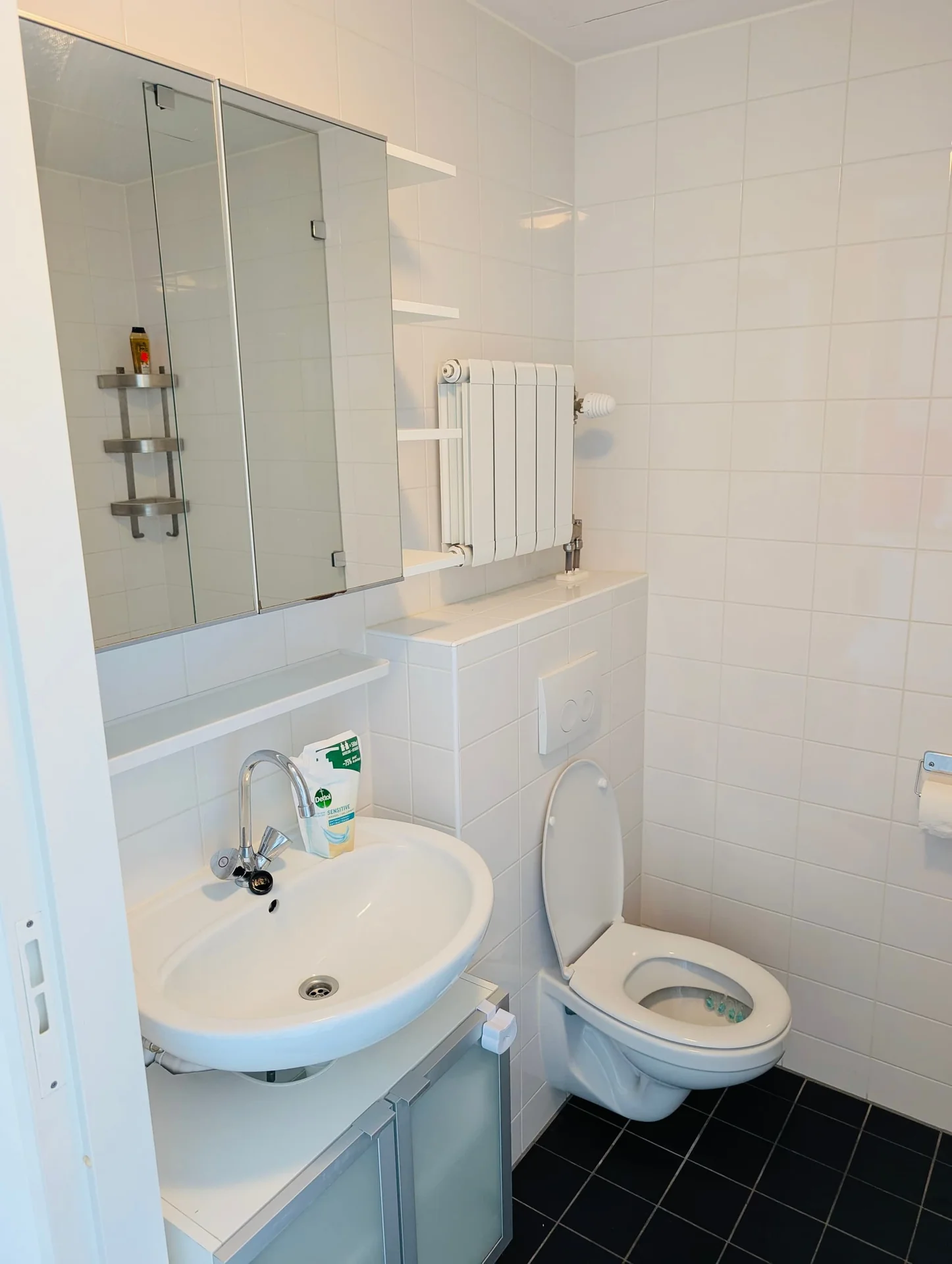 Foto van de Studio gelegen aan de Bos en Lommerplantsoen in Amsterdam