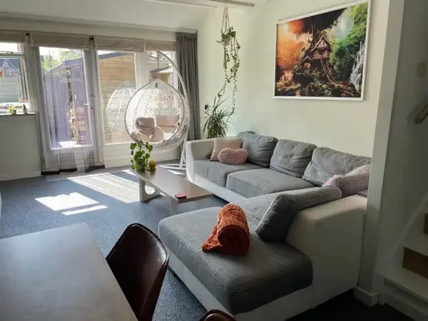 geblurde versie van de foto als achtergrond