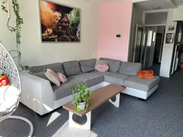 geblurde versie van de foto als achtergrond