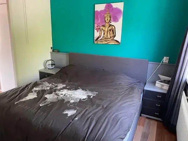 geblurde versie van de foto als achtergrond