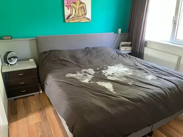 geblurde versie van de foto als achtergrond