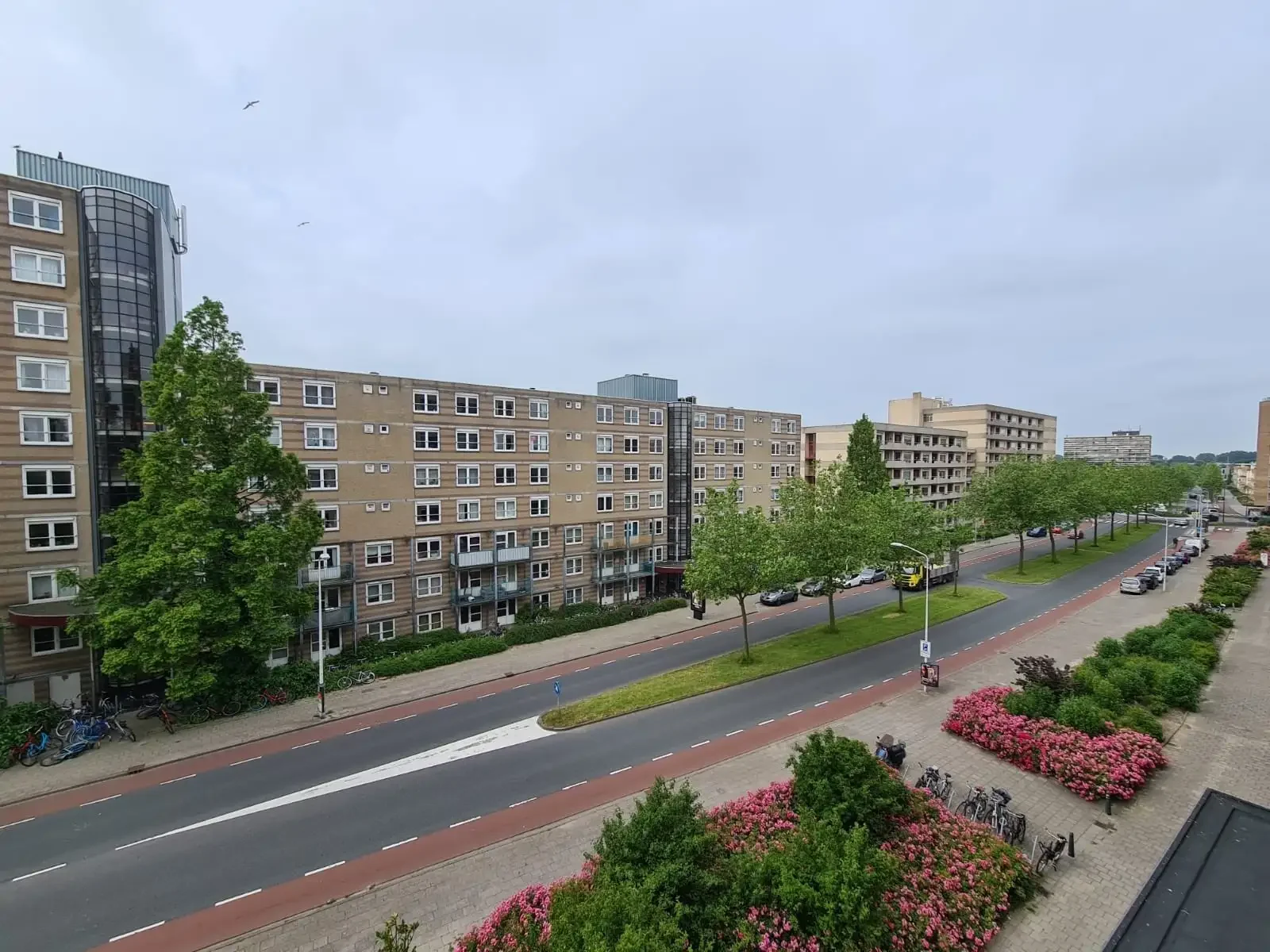 geblurde versie van de foto als achtergrond