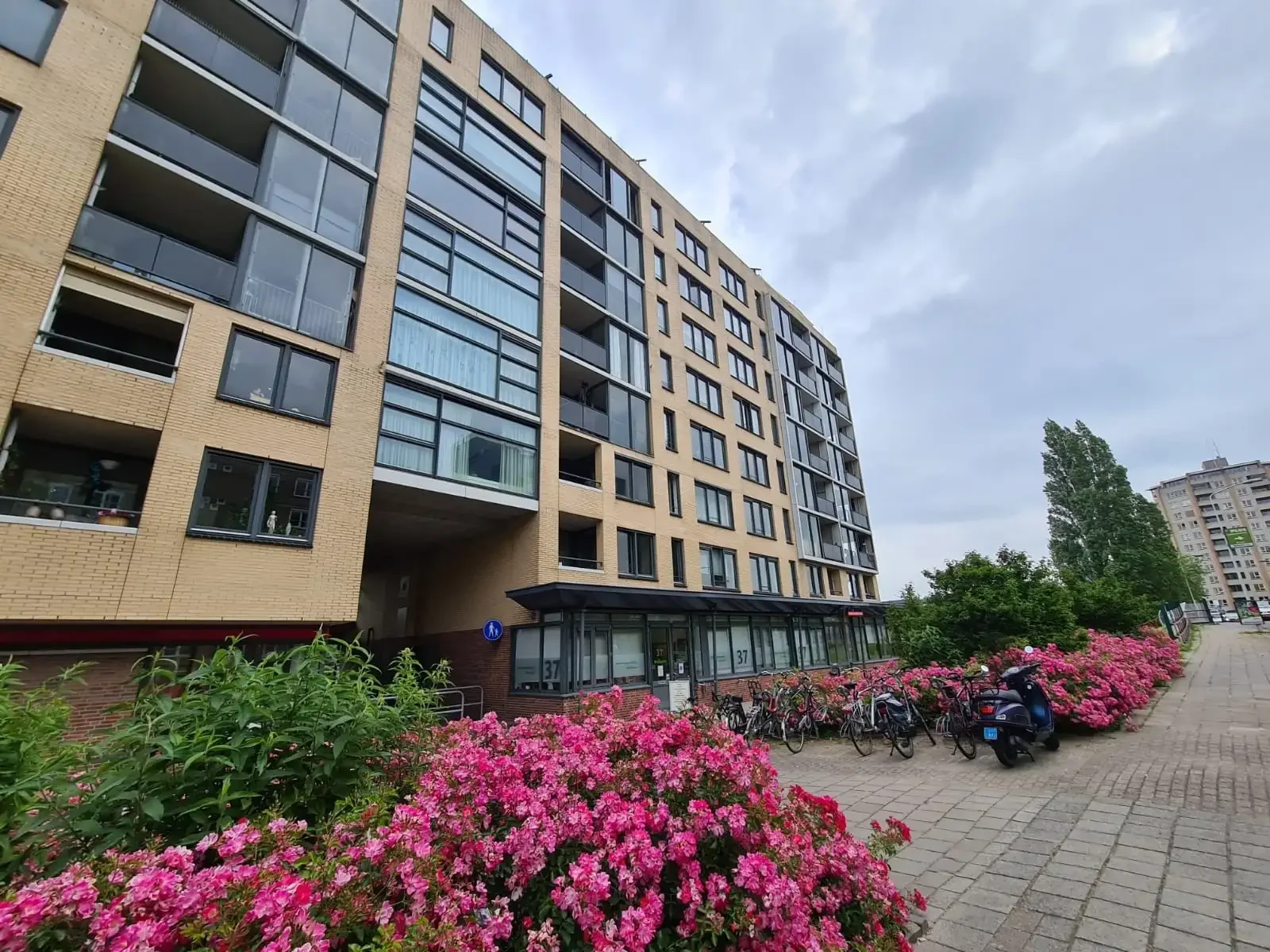 geblurde versie van de foto als achtergrond