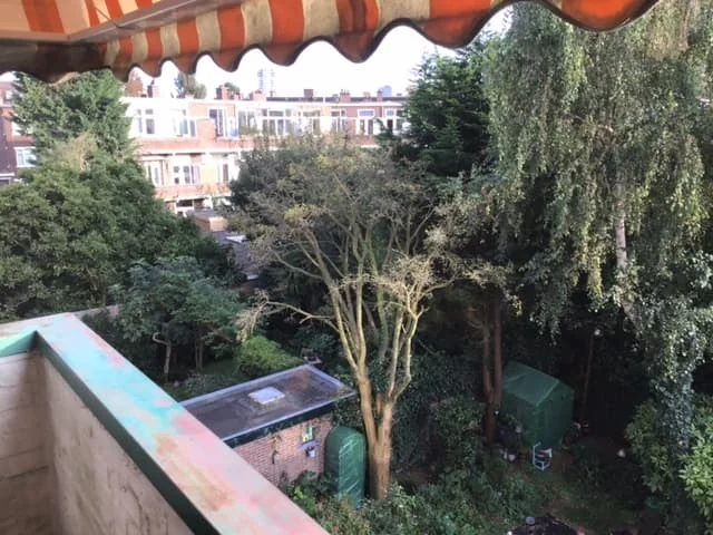 Foto van de Studio gelegen aan de Thorbeckelaan in Den Haag