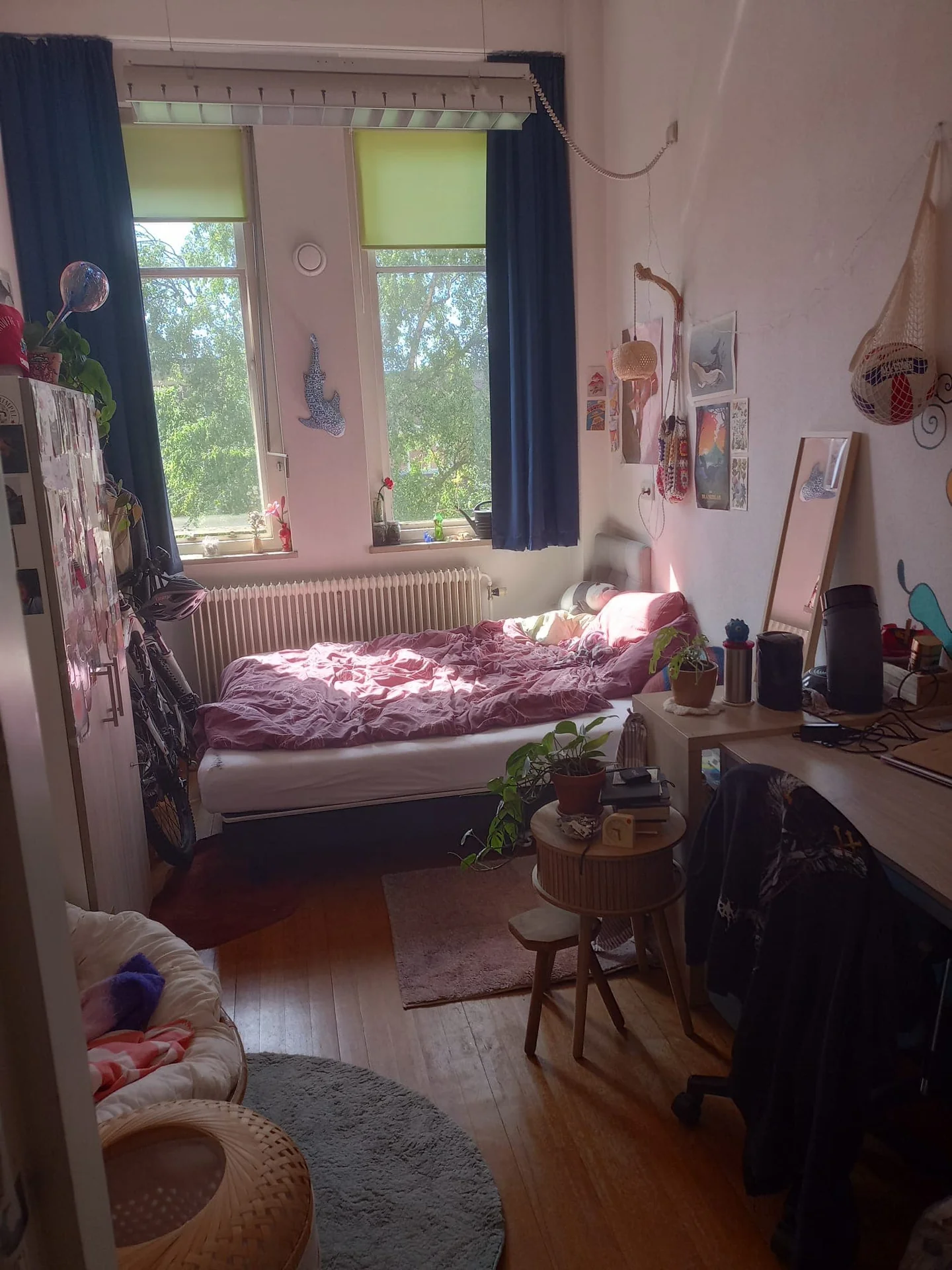geblurde versie van de foto als achtergrond