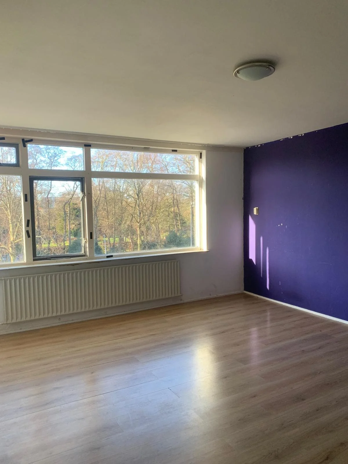 geblurde versie van de foto als achtergrond