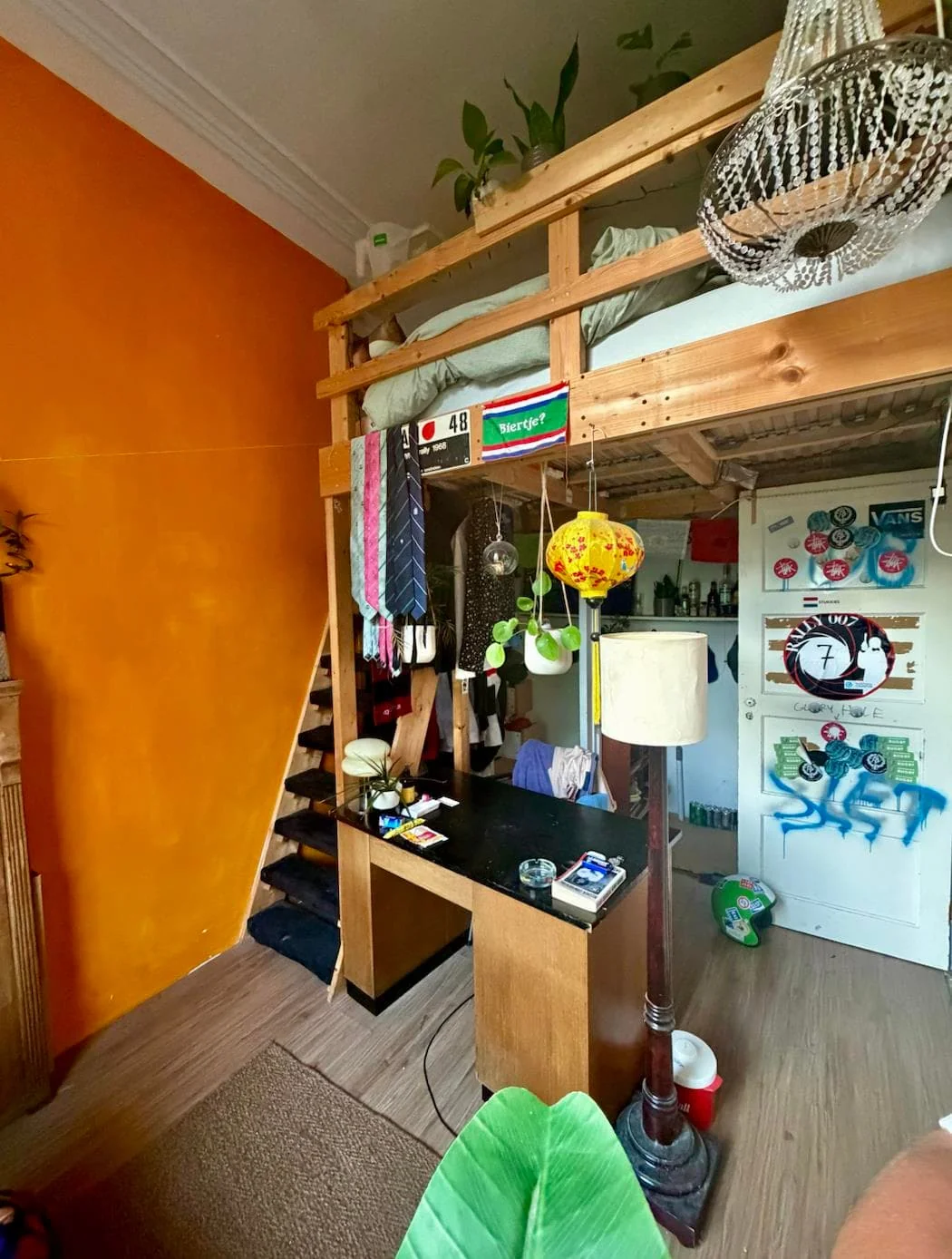 geblurde versie van de foto als achtergrond