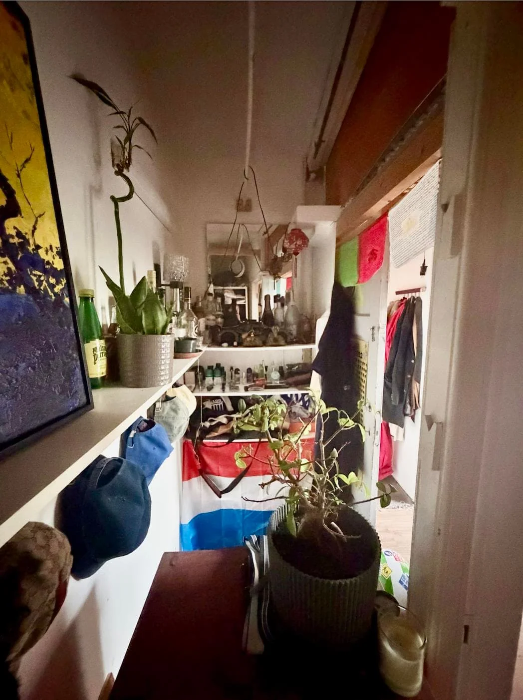 geblurde versie van de foto als achtergrond