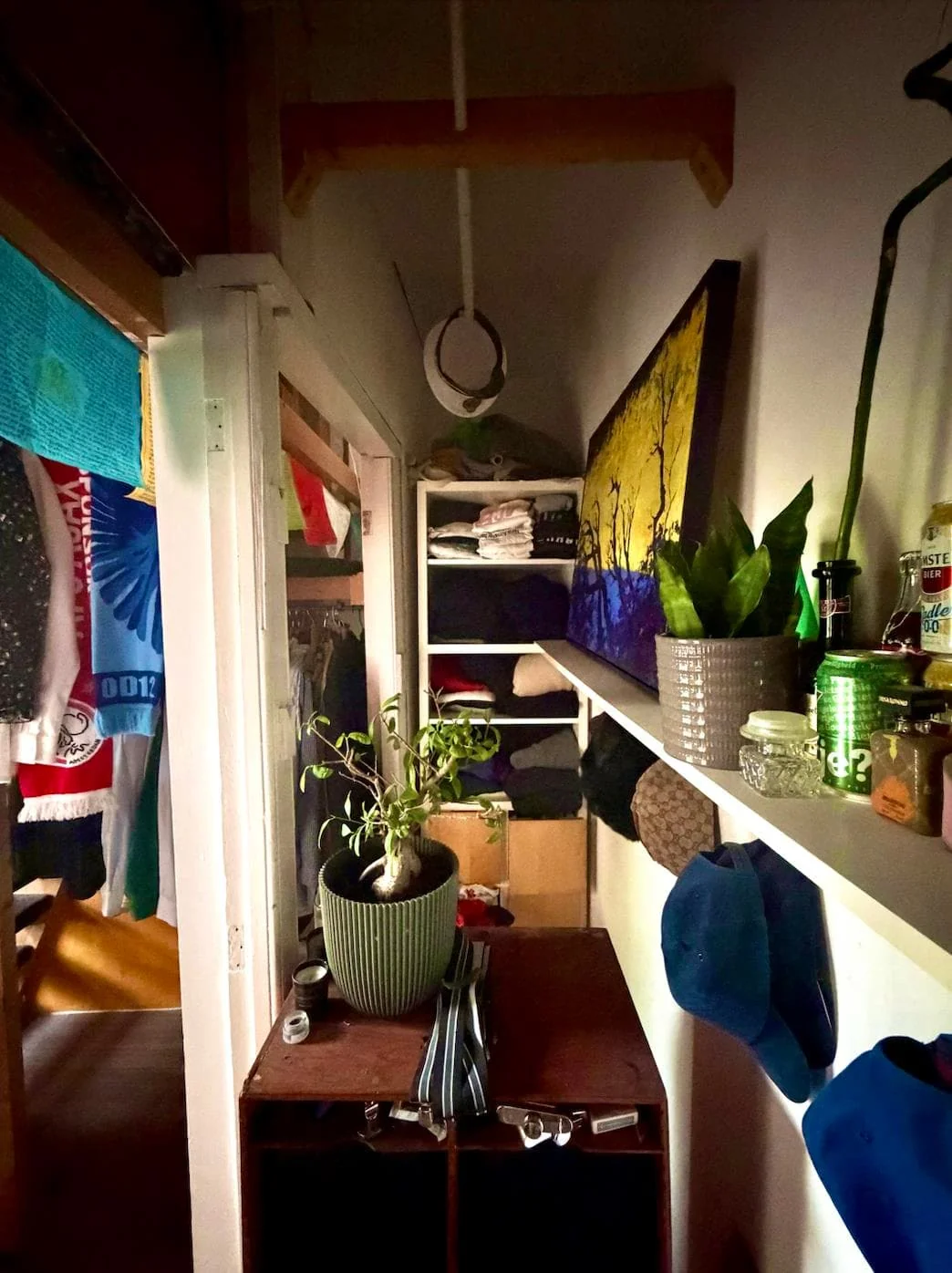 geblurde versie van de foto als achtergrond