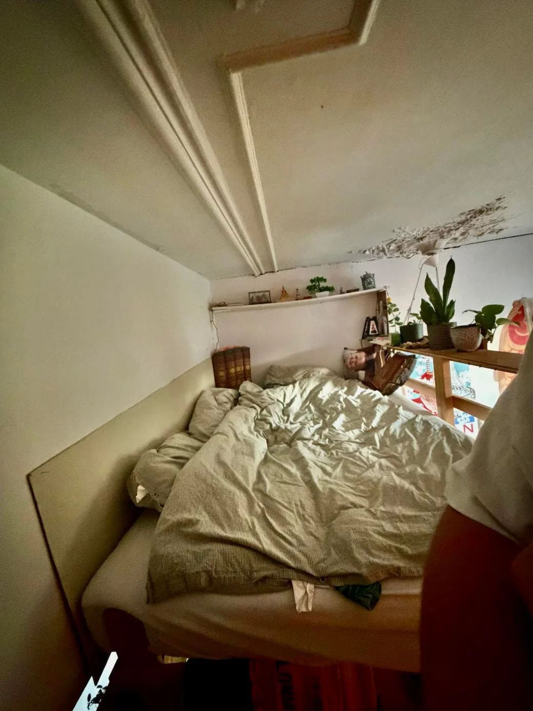 geblurde versie van de foto als achtergrond