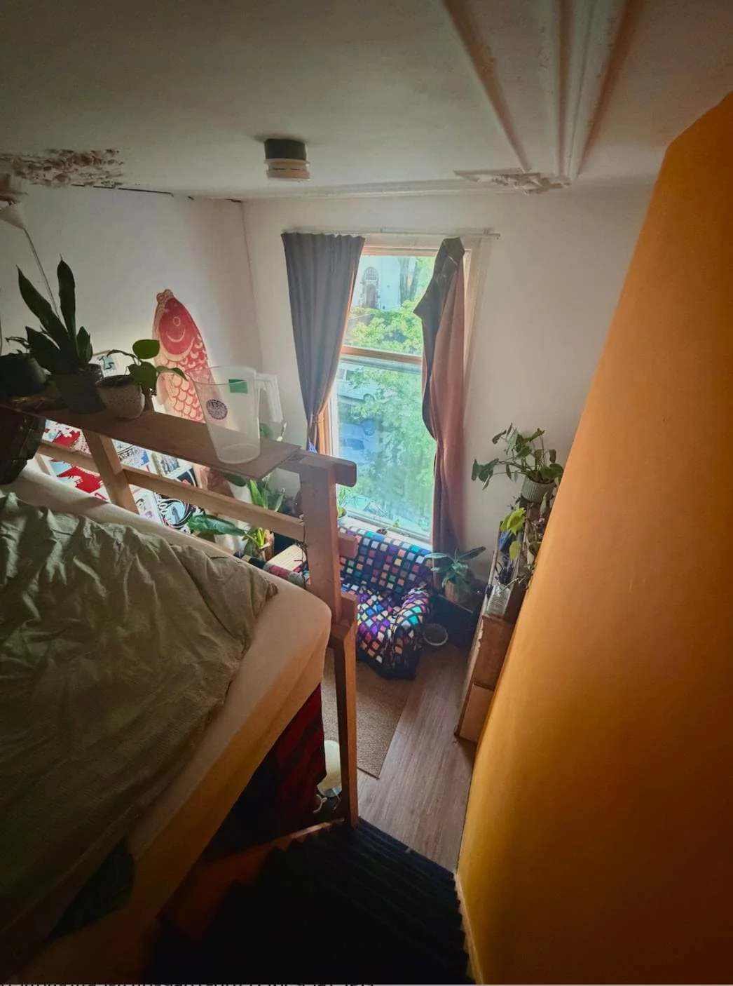 geblurde versie van de foto als achtergrond