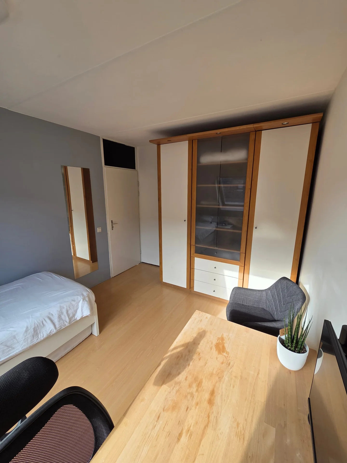 Foto van de Kamer gelegen aan de Olmendaal in Rotterdam
