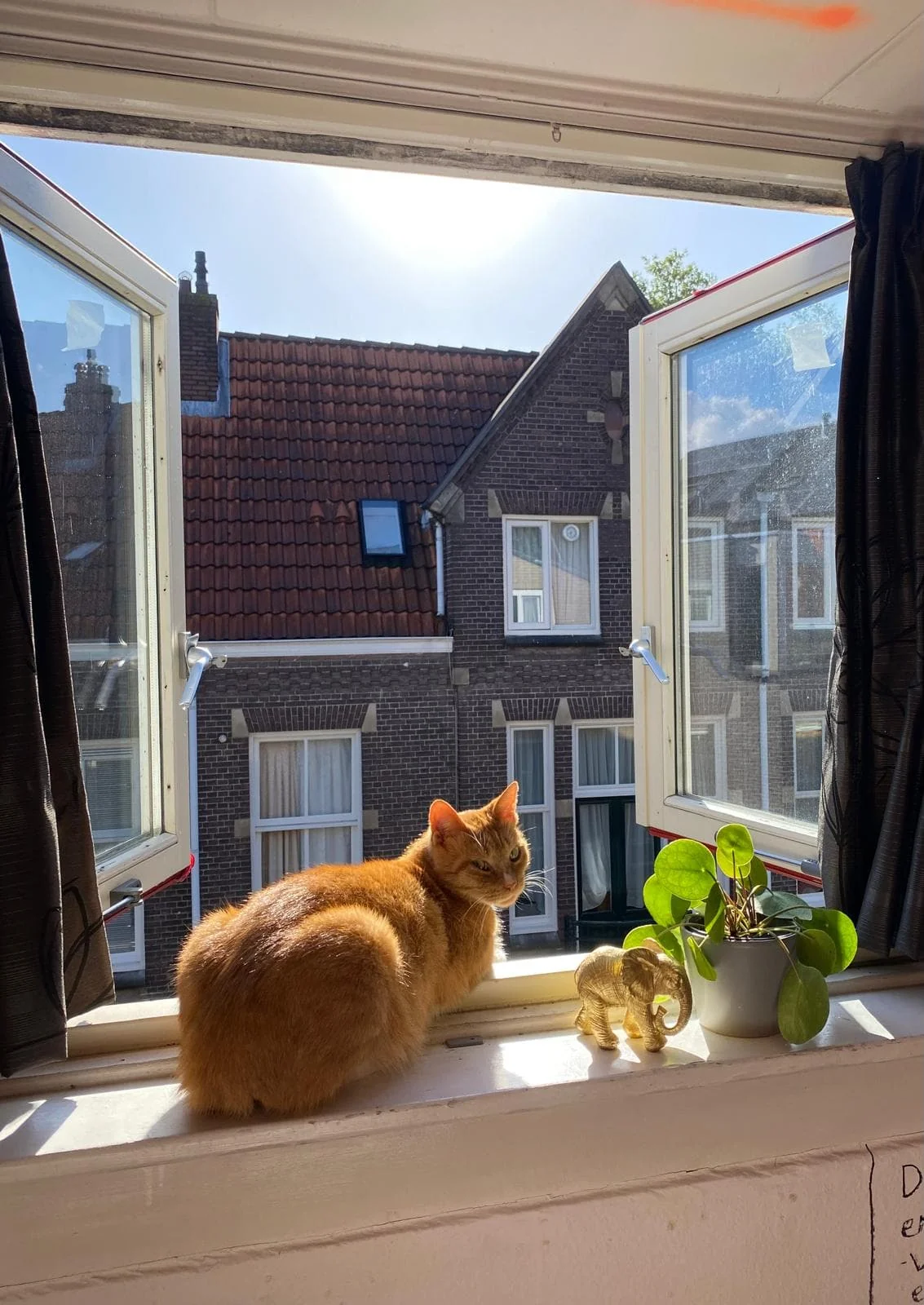 geblurde versie van de foto als achtergrond