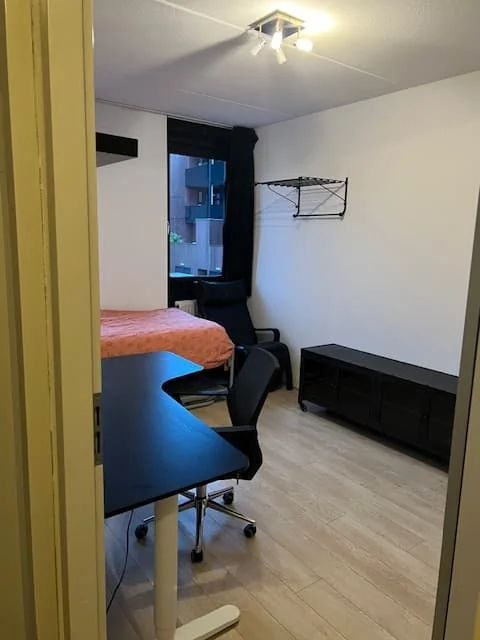 geblurde versie van de foto als achtergrond