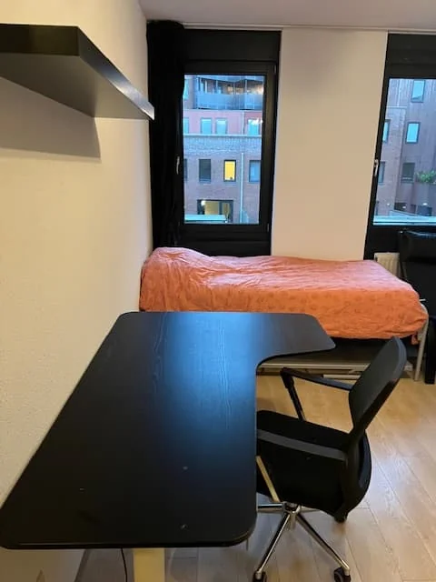 geblurde versie van de foto als achtergrond