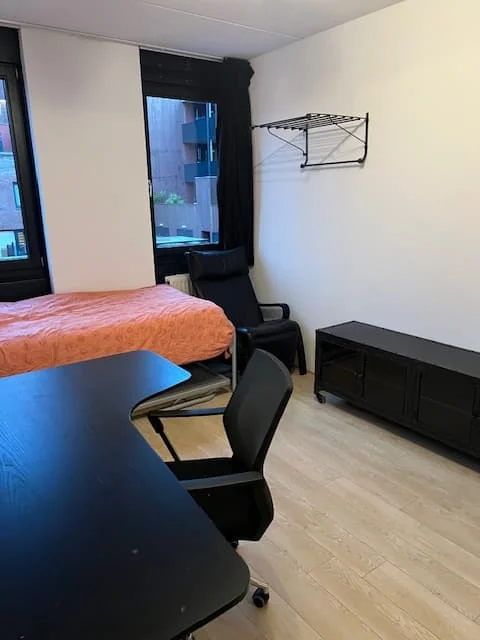 geblurde versie van de foto als achtergrond