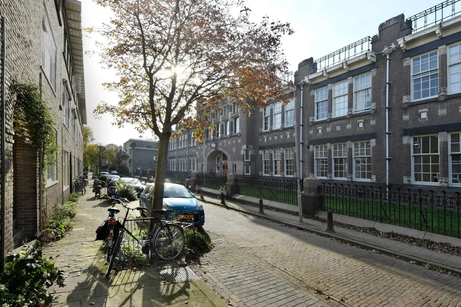 geblurde versie van de foto als achtergrond